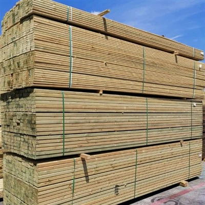 Kamferimäntypuun aukio